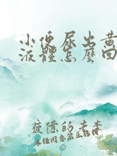 小便尿出黄粘稠液体怎么回事
