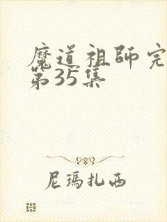魔道祖师完结篇第35集
