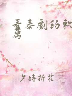 看泰剧的软件推荐