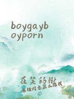 boygayboyporn