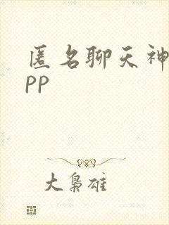 匿名聊天神器app