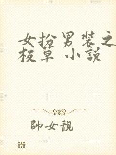 女扮男装之四大校草 小说
