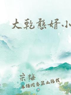 大乾憨婿小短剧