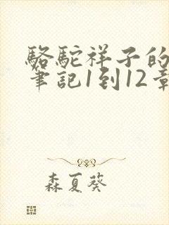 骆驼祥子的读书笔记1到12章