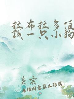 拉布拉多值多少钱一只小狗