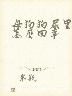 母狗狗尿里有血怎么回事