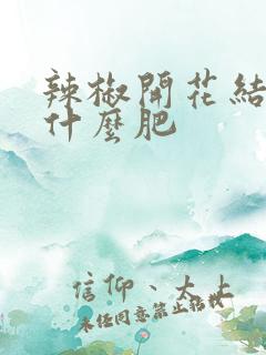 辣椒开花结果施什么肥