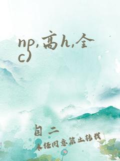 np,高h,全c)