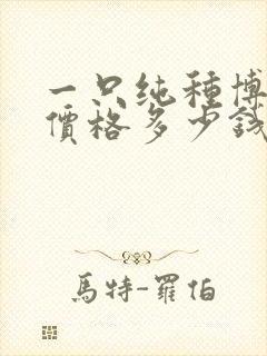 一只纯种博美狗价格多少钱