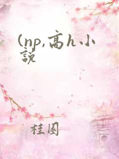 (np,高h小说