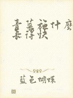 青菜施什么肥好长得快