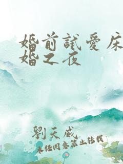 婚前试爱床戏新婚之夜