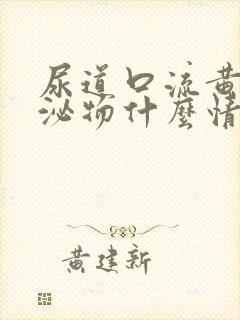 尿道口流黄色分泌物什么情况