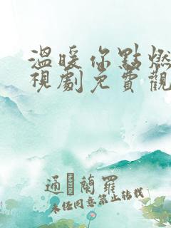 温暖你点燃我电视剧免费观看全集