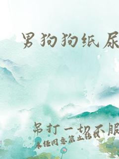 男狗狗纸尿裤