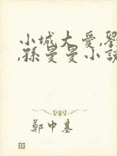 小城大爱,刘聪,孙曼曼小说阅读