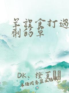 羊误食打过除草剂的草