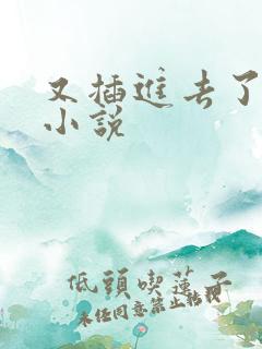 又插进去了男男小说