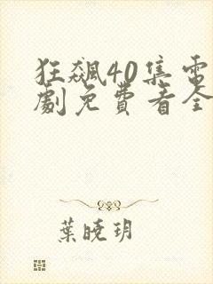 狂飙40集电视剧免费看全集