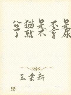 公猫是不是绝育了就不会尿憋了