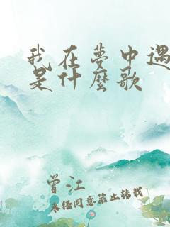 我在梦中遇见你是什么歌