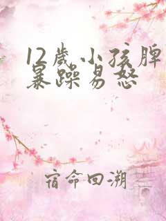 12岁小孩脾气暴躁易怒