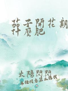 茄子开花期间施什么肥