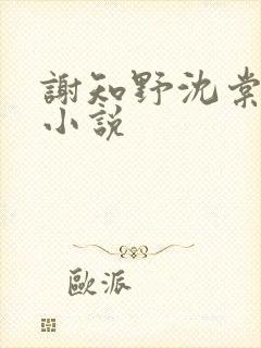 谢知野沈棠绾的小说