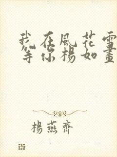 我在风花雪月里等你杨如画