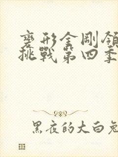变形金刚领袖的挑战第四季