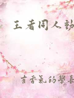 王者同人动画