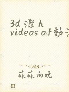 3d 涩 h videos of动漫