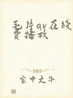 毛片av在线免费播放