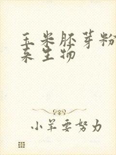 玉米胚芽粉,未来生物