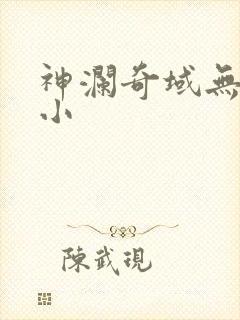 神澜奇域无双珠小