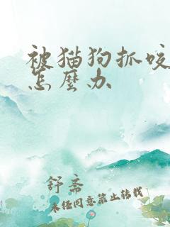 被猫狗抓咬后该怎么办