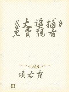 《大追捕》电影免费观看