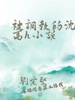 被调教的沈清清高h小说