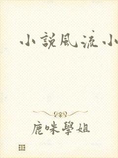 小说风流小医仙