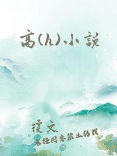 高(h)小说