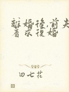 离婚后,前夫哭着求复婚