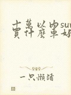 十万以内suv买什么车好