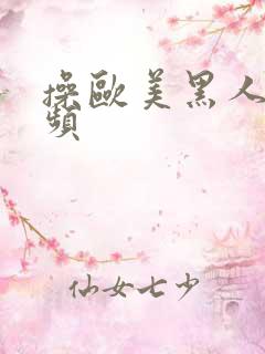 操欧美黑人逼视频