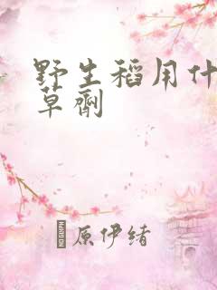 野生稻用什么除草剂