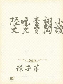 陆晚李翊小说全文免费阅读无广告