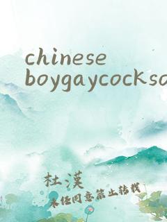 chineseboygaycocksolotube