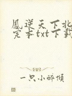 凤逆天下北月篇完本txt下载