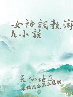 女神调教游戏高h小说