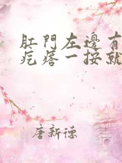 肛门左边有个硬疙瘩一按就疼