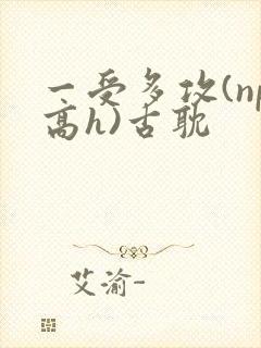 一受多攻(np高h)古耽
